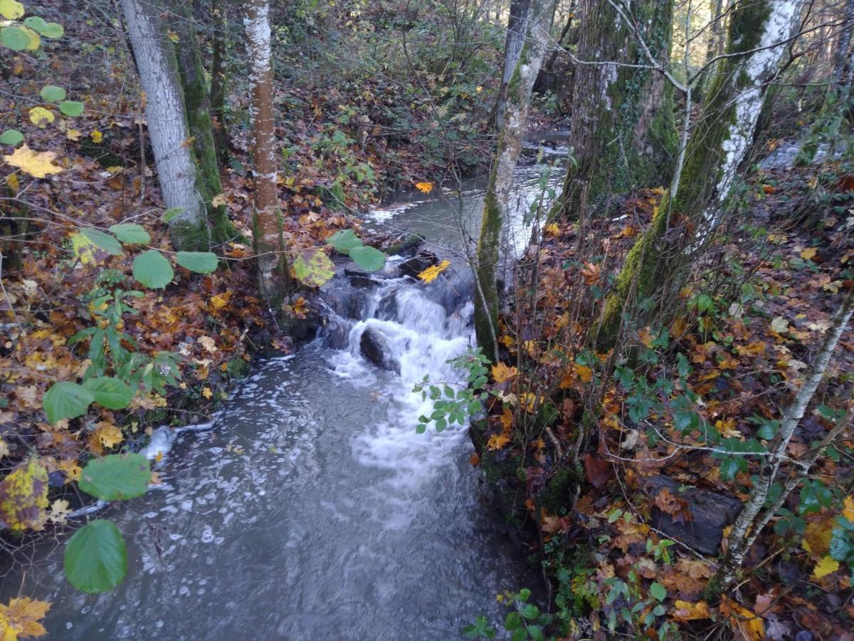 فيلا Chalet Au Bois D'Ourthe Somme-Leuze المظهر الخارجي الصورة