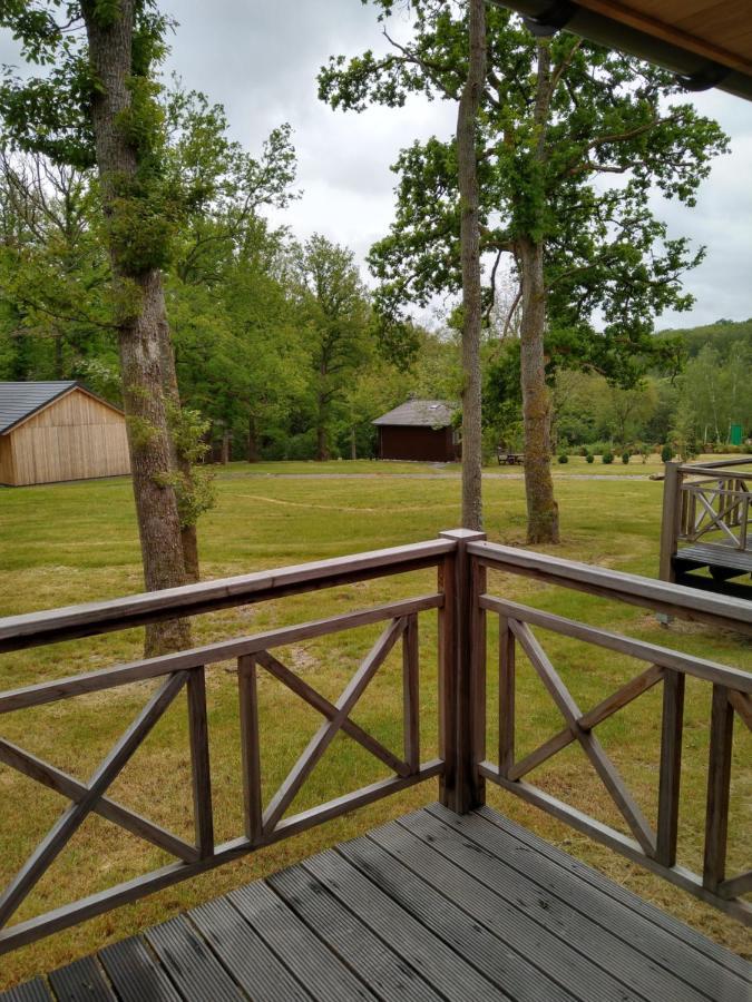 فيلا Chalet Au Bois D'Ourthe Somme-Leuze المظهر الخارجي الصورة